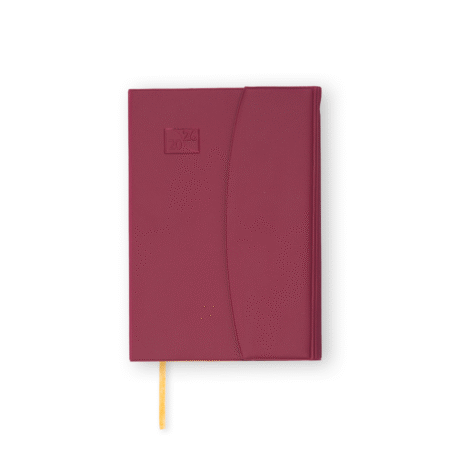 eagle Tourist Diary - LXD (Includes eagle pen)